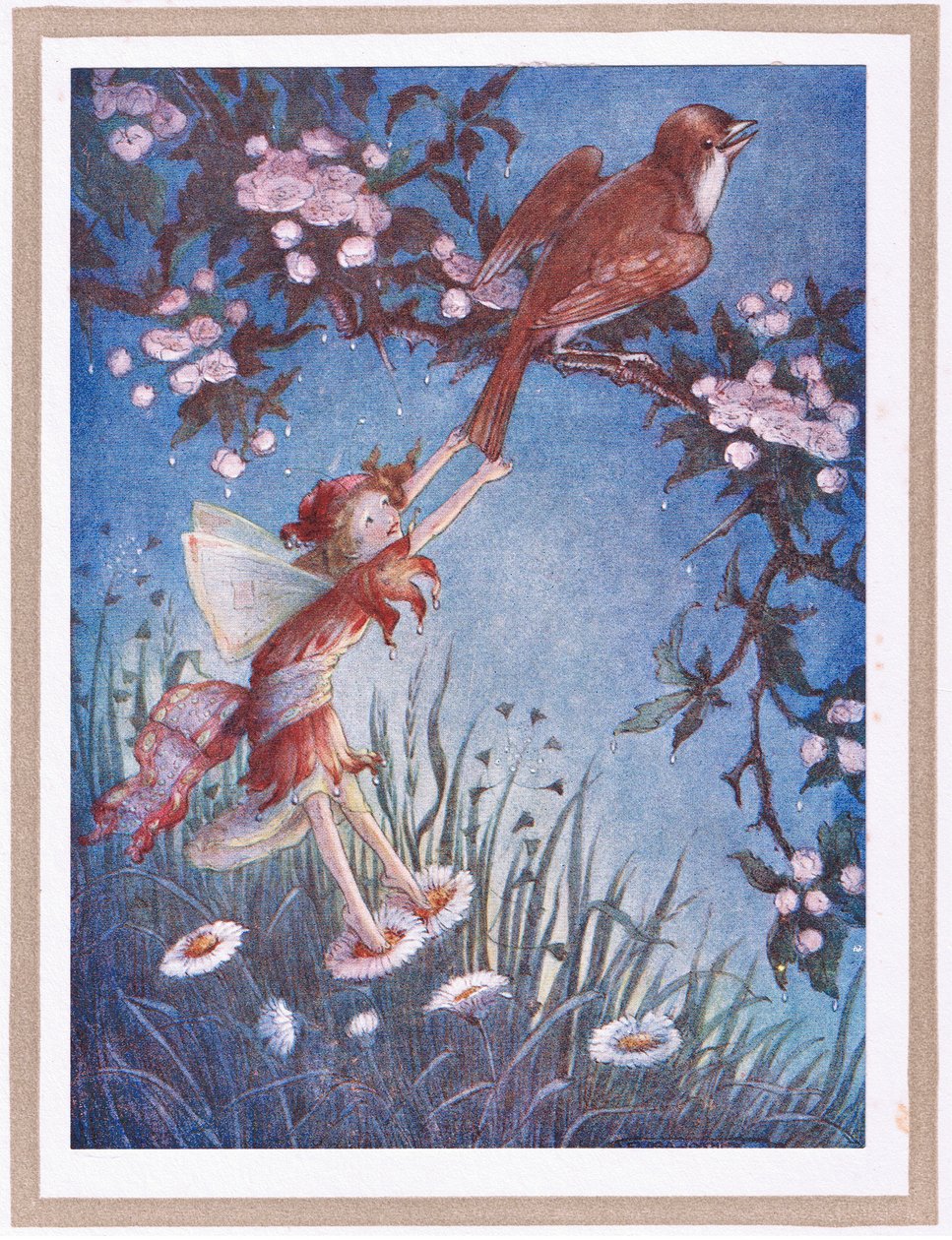 Sie zog am Schwanz der Nachtigall von Flora White