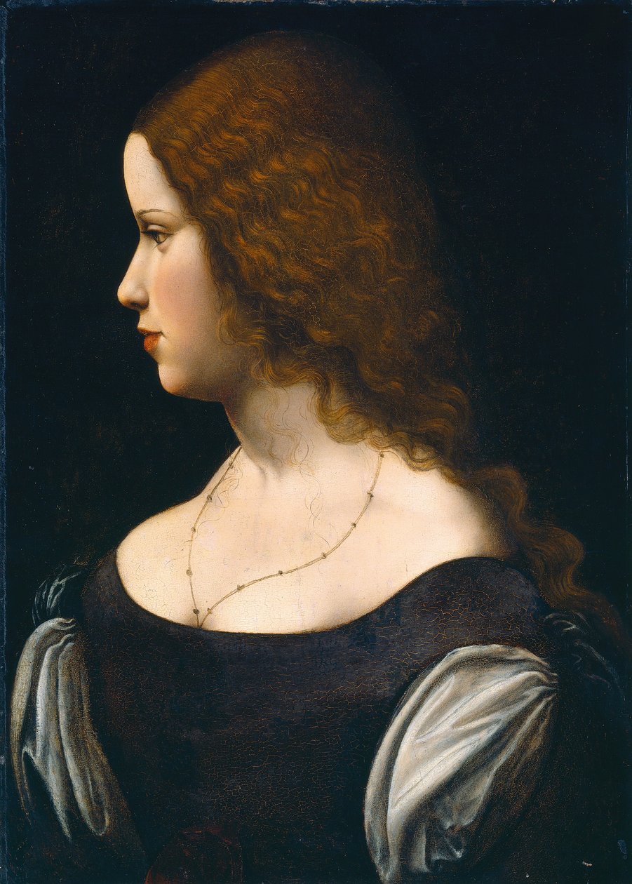 Porträt einer jungen Dame von Follower of Leonardo da Vinci
