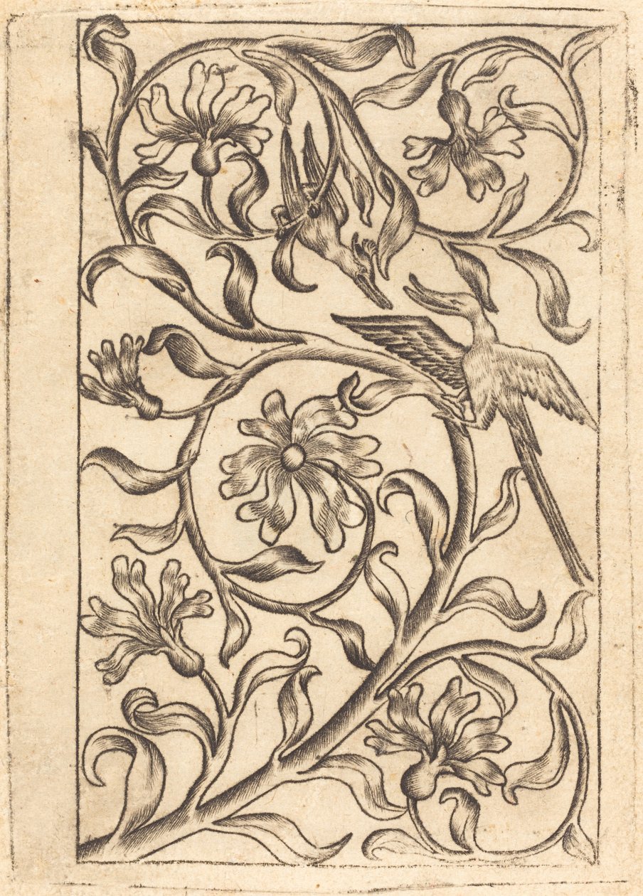 Weinreben-Ornament mit zwei Vögeln von Follower of Master of the Playing Cards