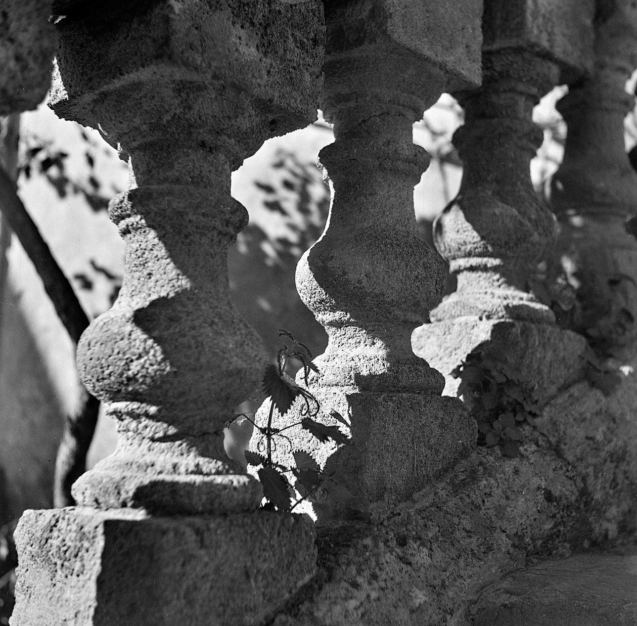 Detail eines Geländers in der Villa Bonocore Maletto Palermo von Fosco Maraini