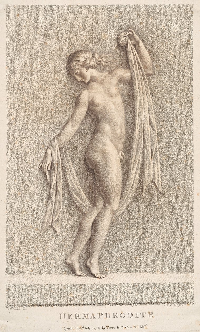 Hermaphrodit von Francesco Bartolozzi