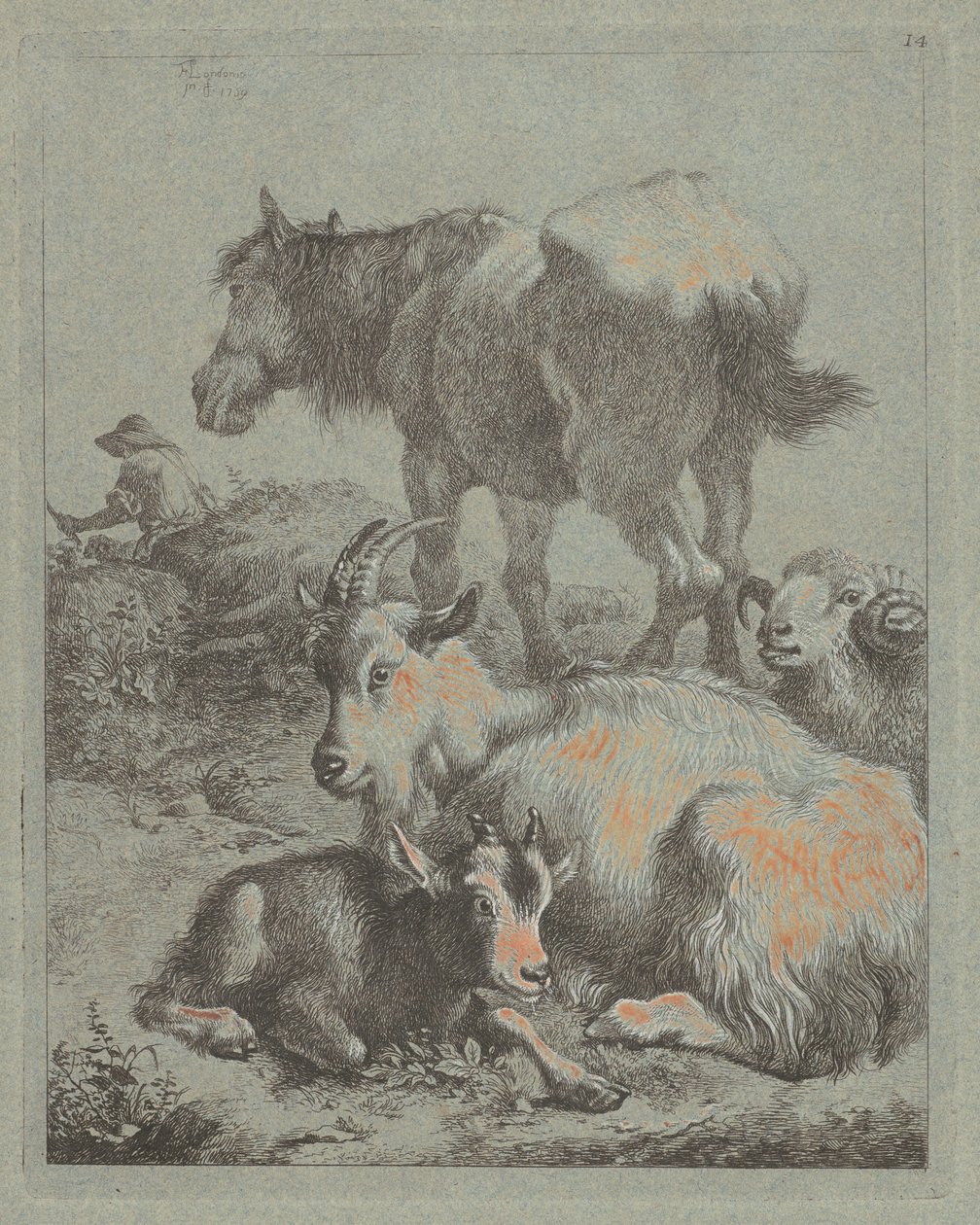 Pferd, Widder, Ziege mit Kitz; Im Hintergrund ein Hirte mit Herde von Francesco Londonio
