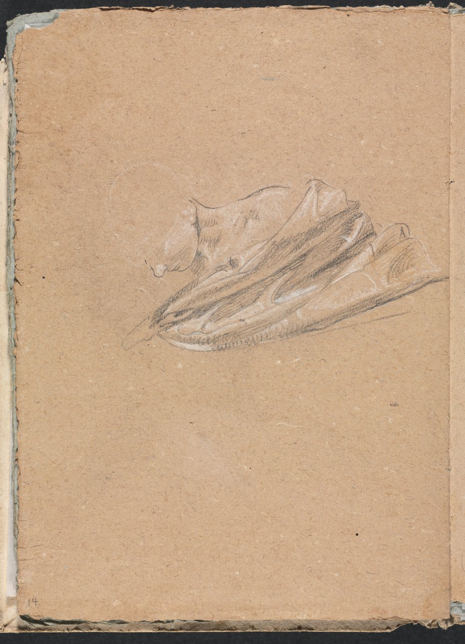 Verona Skizzenbuch: Kopf und Schulter mit Draperie Seite 14, 1760 von Francesco Lorenzi