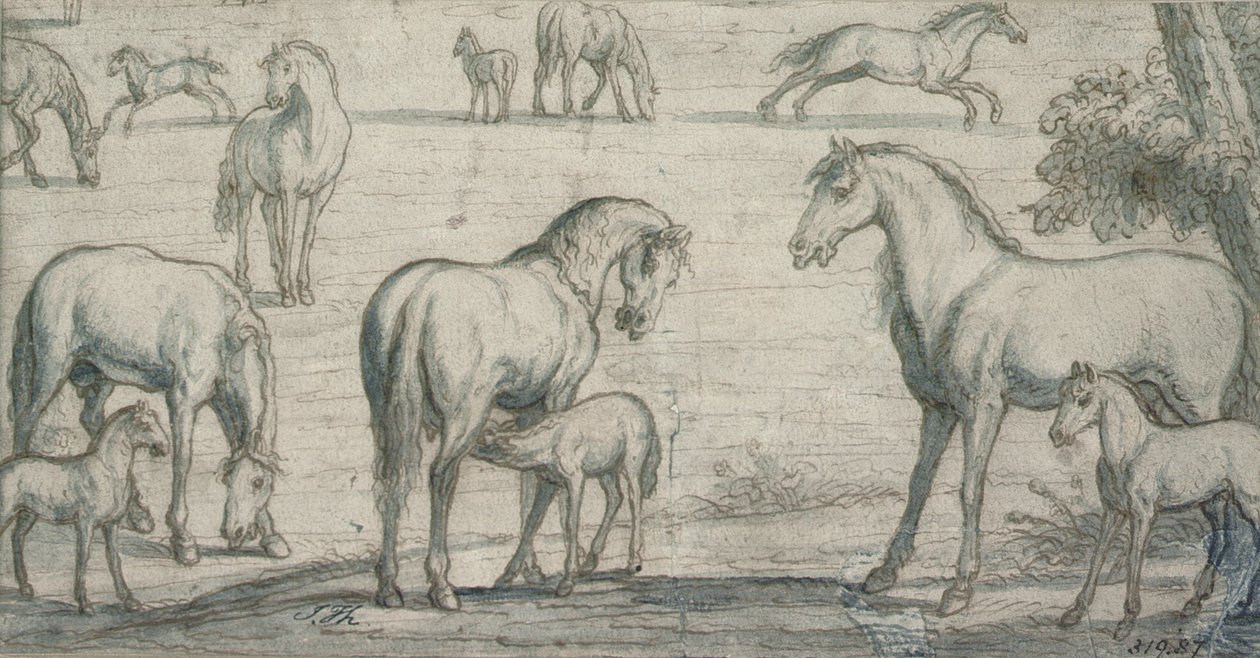 Stuten und Fohlen, 17. Jahrhundert von Francis Barlow