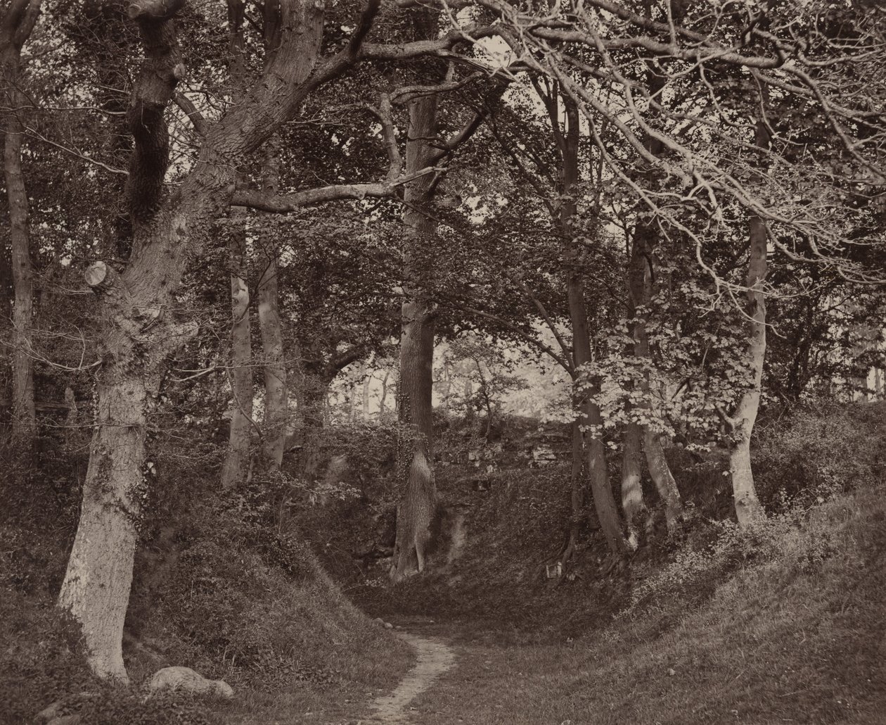 Glen Kenilworth, um 1868 von Francis Bedford