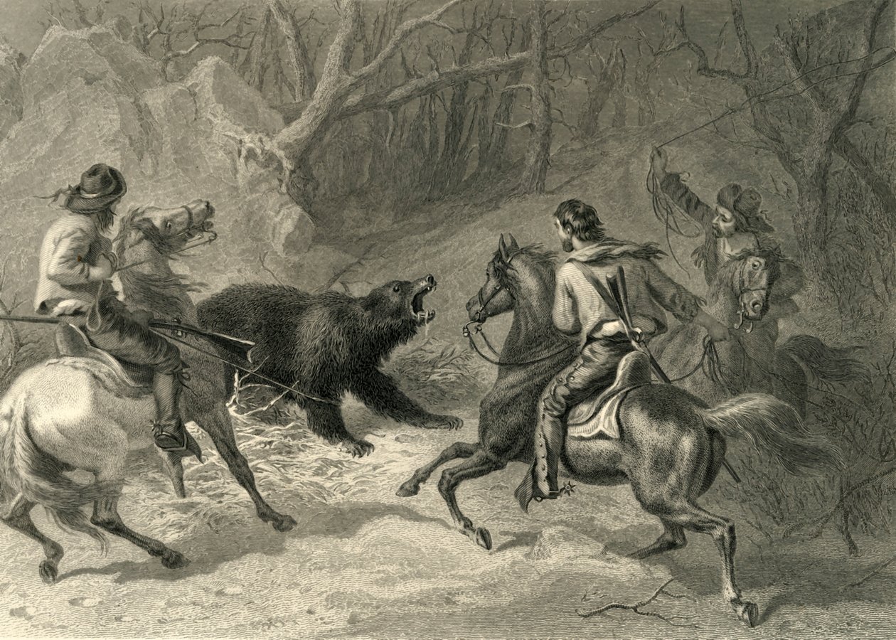 Einheimische Kalifornier fangen einen Bären mit dem Lasso, 1874 von Francis Holl