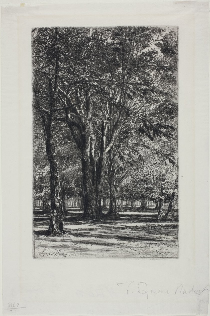 Kensington Gardens, Nr. II (große Platte) von Francis Seymour Haden