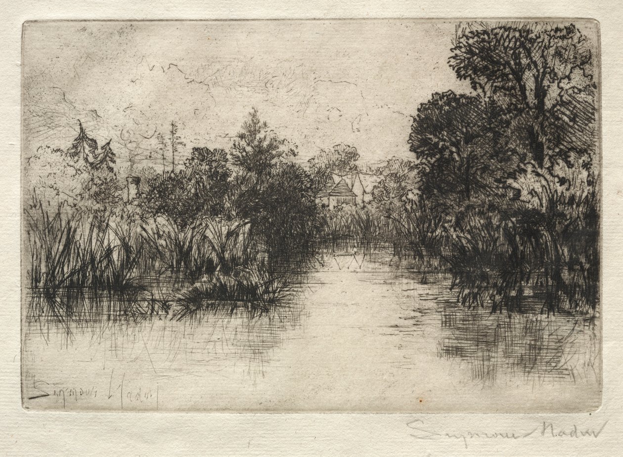 Shere Mill Pond (Eine kleine Studie) von Francis Seymour Haden