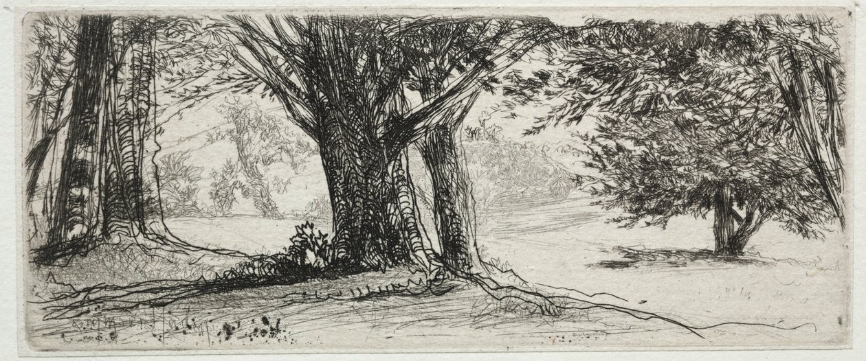 Das Stechpalmenfeld von Francis Seymour Haden