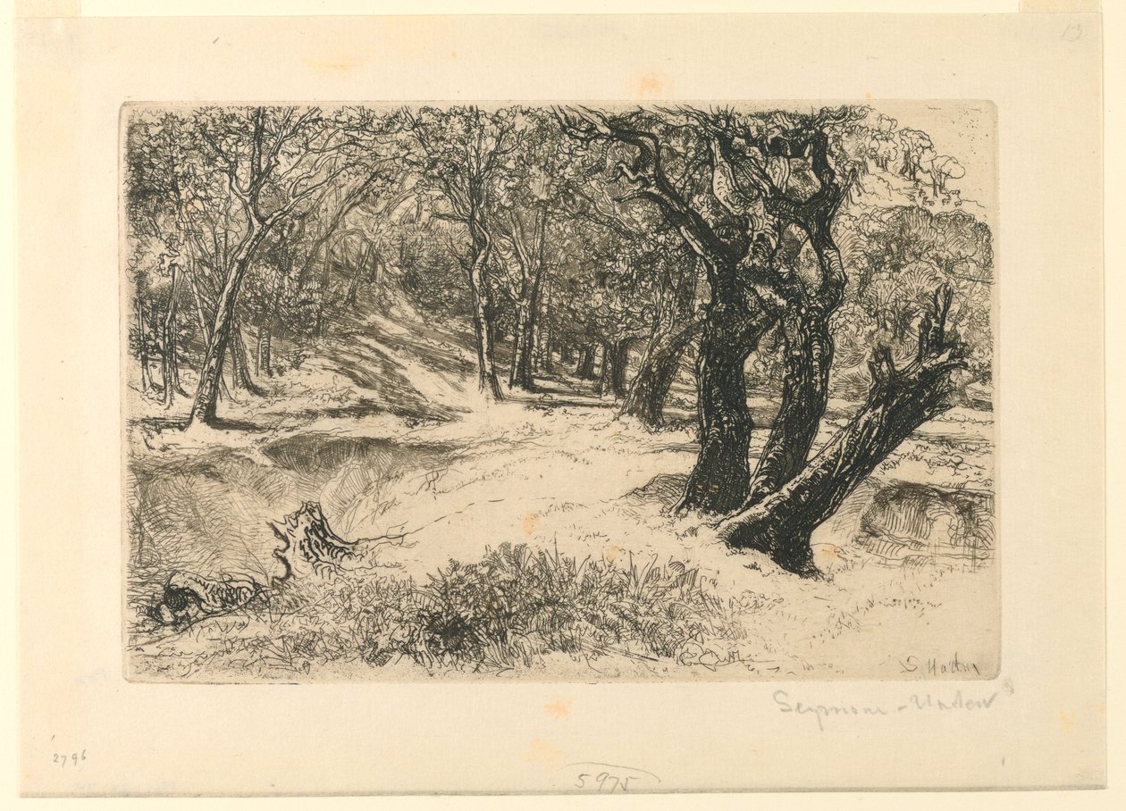 Die drei Schwestern von Francis Seymour Haden