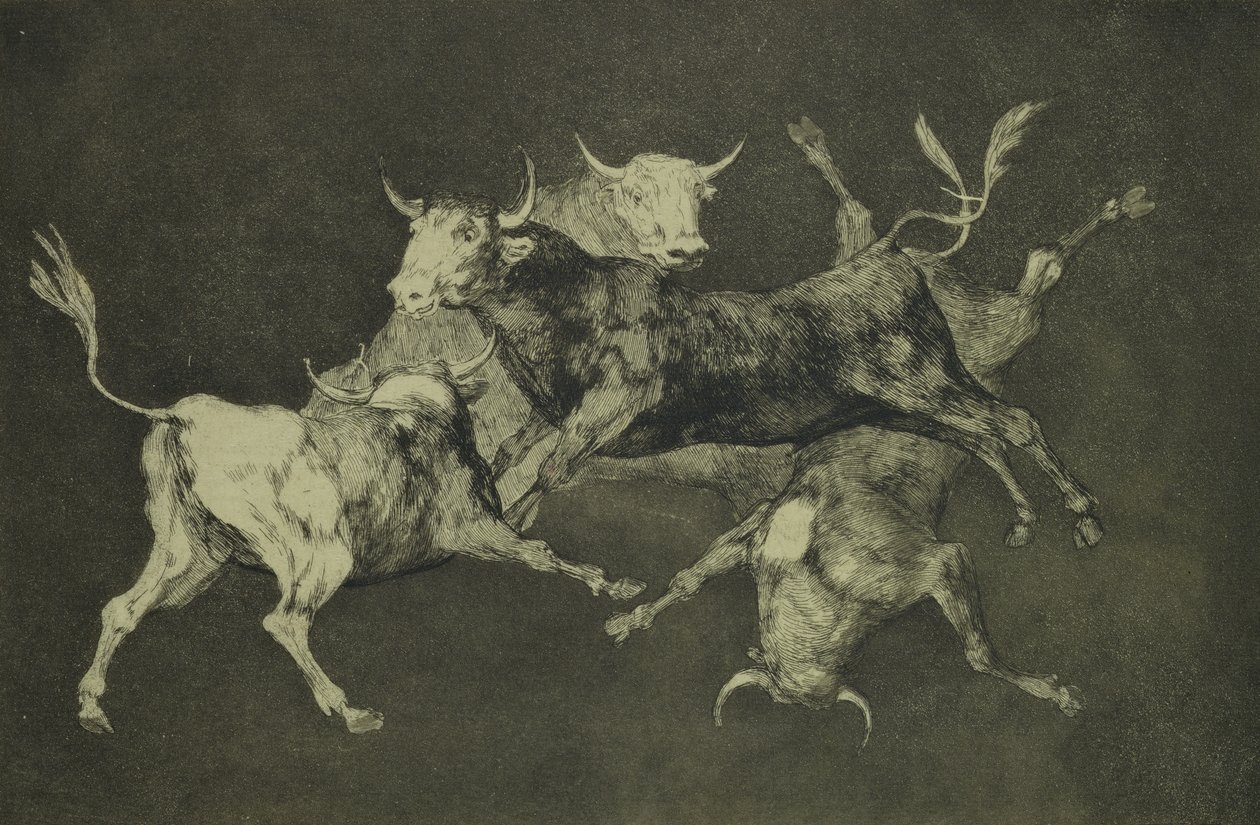 Torheit der Stiere, aus der Serie Torheiten, um 1815-24 (Radierung und Aquatinta auf Japanpapier) von Francisco de Goya