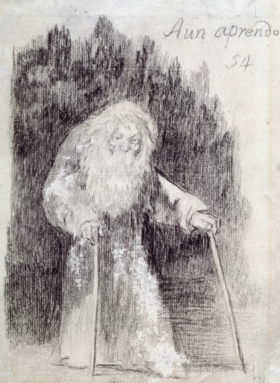 Ich lerne immer noch (Aun Aprendo) von Francisco de Goya