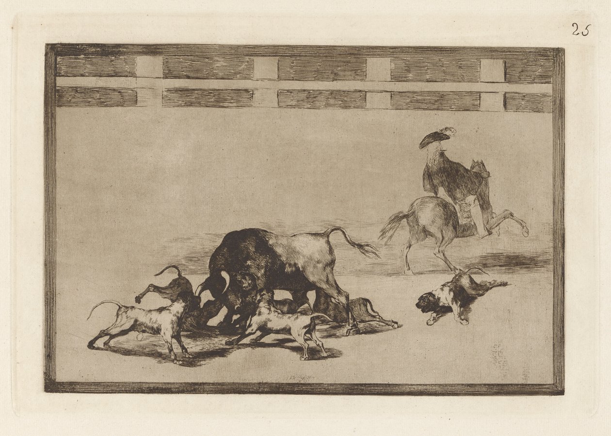 Echan perros al toro (Sie lassen Hunde auf den Stier los), Platte 25 aus La tauromaquia von Francisco de Goya