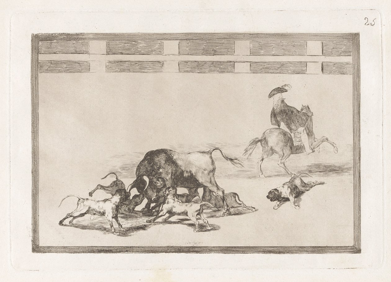 Sie lassen Hunde auf den Stier los, Platte 25 aus La tauromaquia von Francisco de Goya