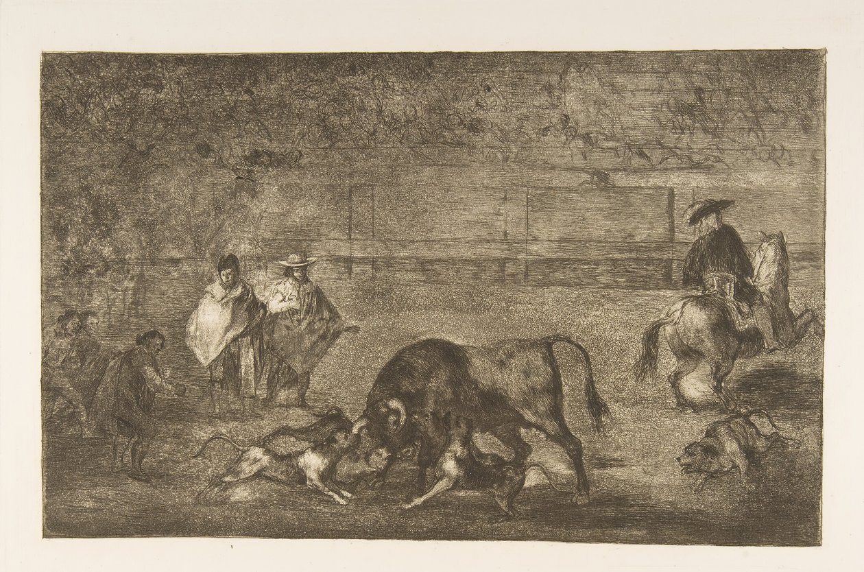 Tafel C: Die Hunde auf den Stier losgelassen, ca. 1816 von Francisco de Goya