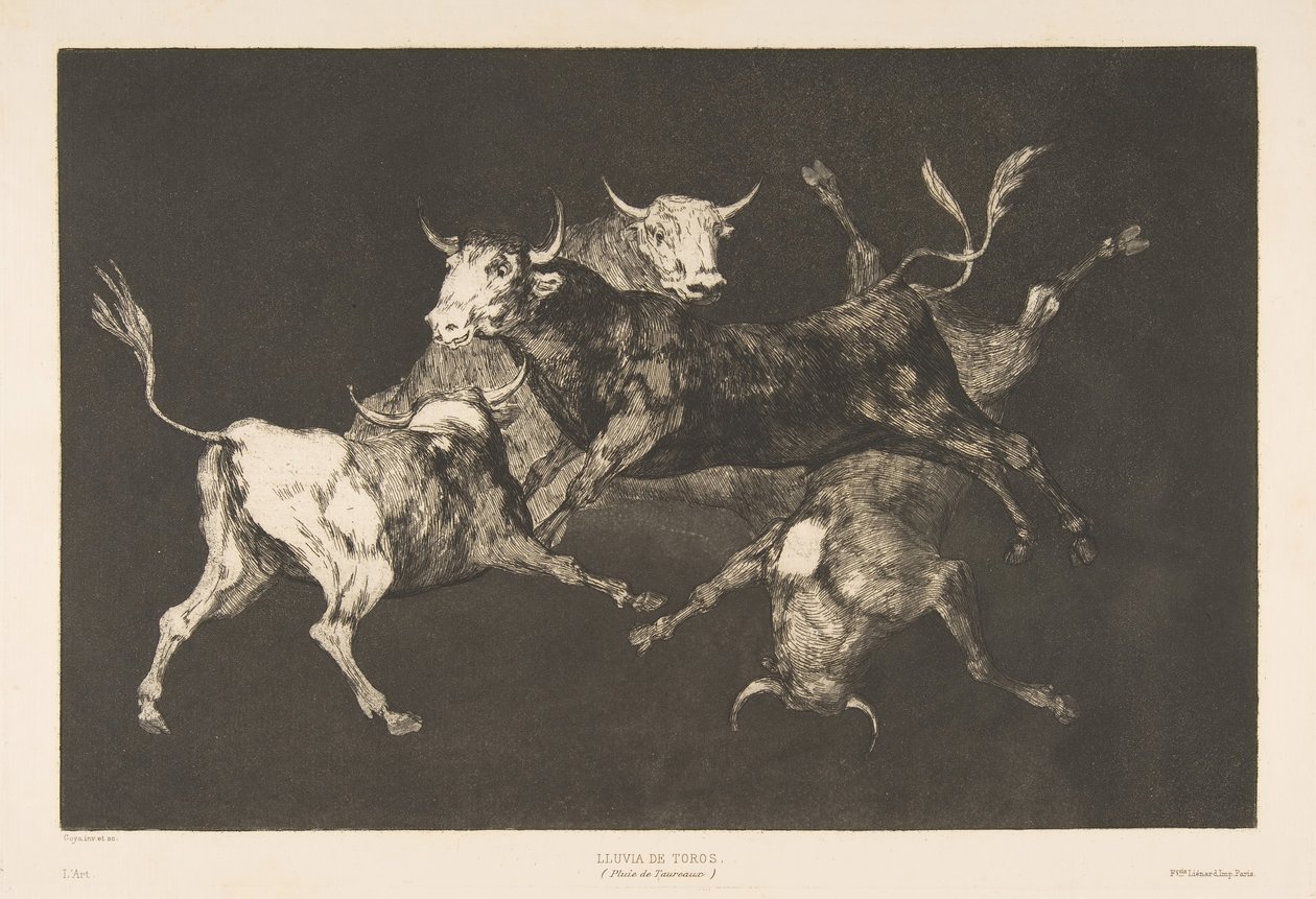 Tafel D aus den Disparates: Narren oder kleine Stiere - Torheit von Francisco de Goya