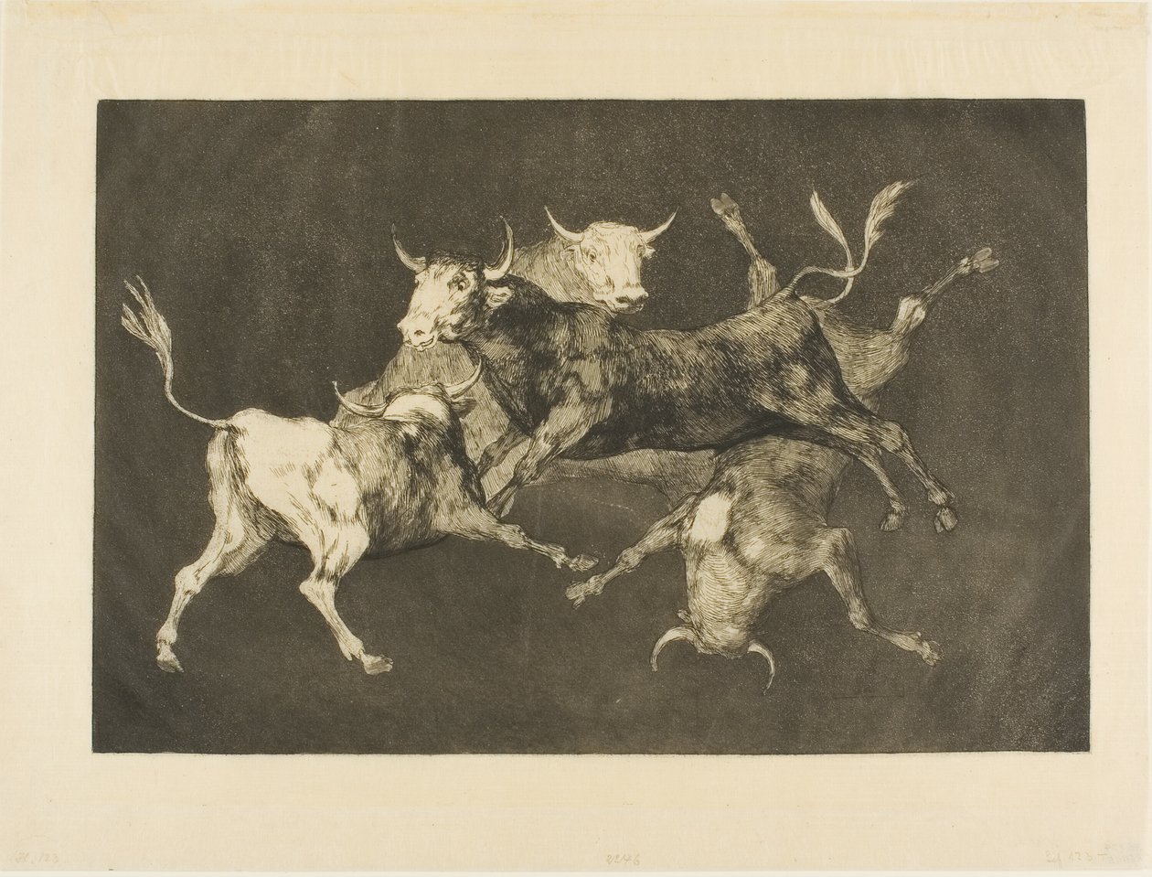 Narrens Torheit, aus Disparates von Francisco Jose de Goya y Lucientes