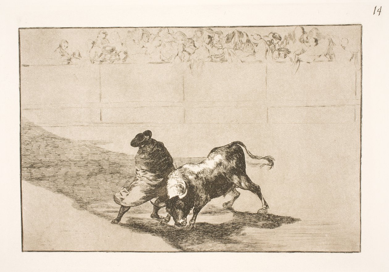 Der sehr talentierte Schüler aus Falces, in seinem Umhang gefeiert, täuscht den Stier mit seinen Körperbewegungen von Francisco de Goya