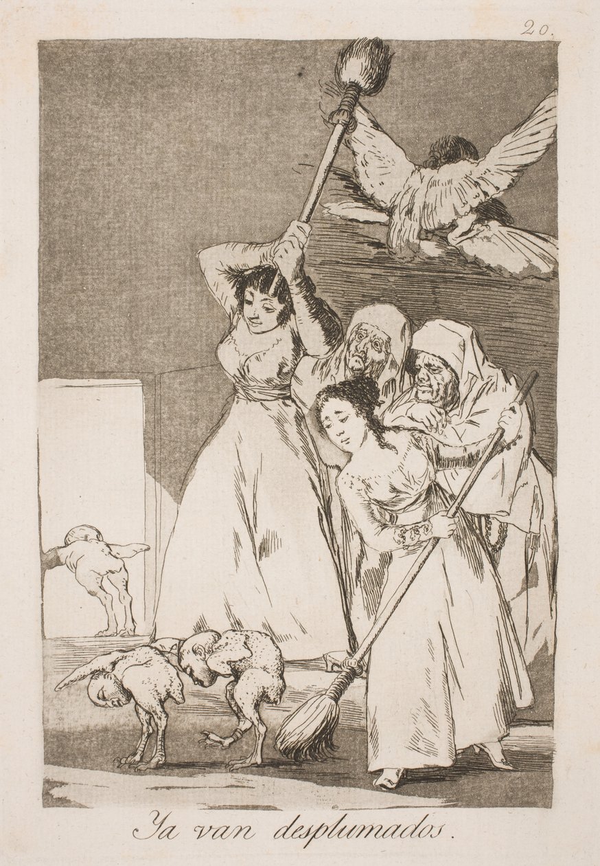 Hier sind sie aller Federn beraubt von Francisco de Goya