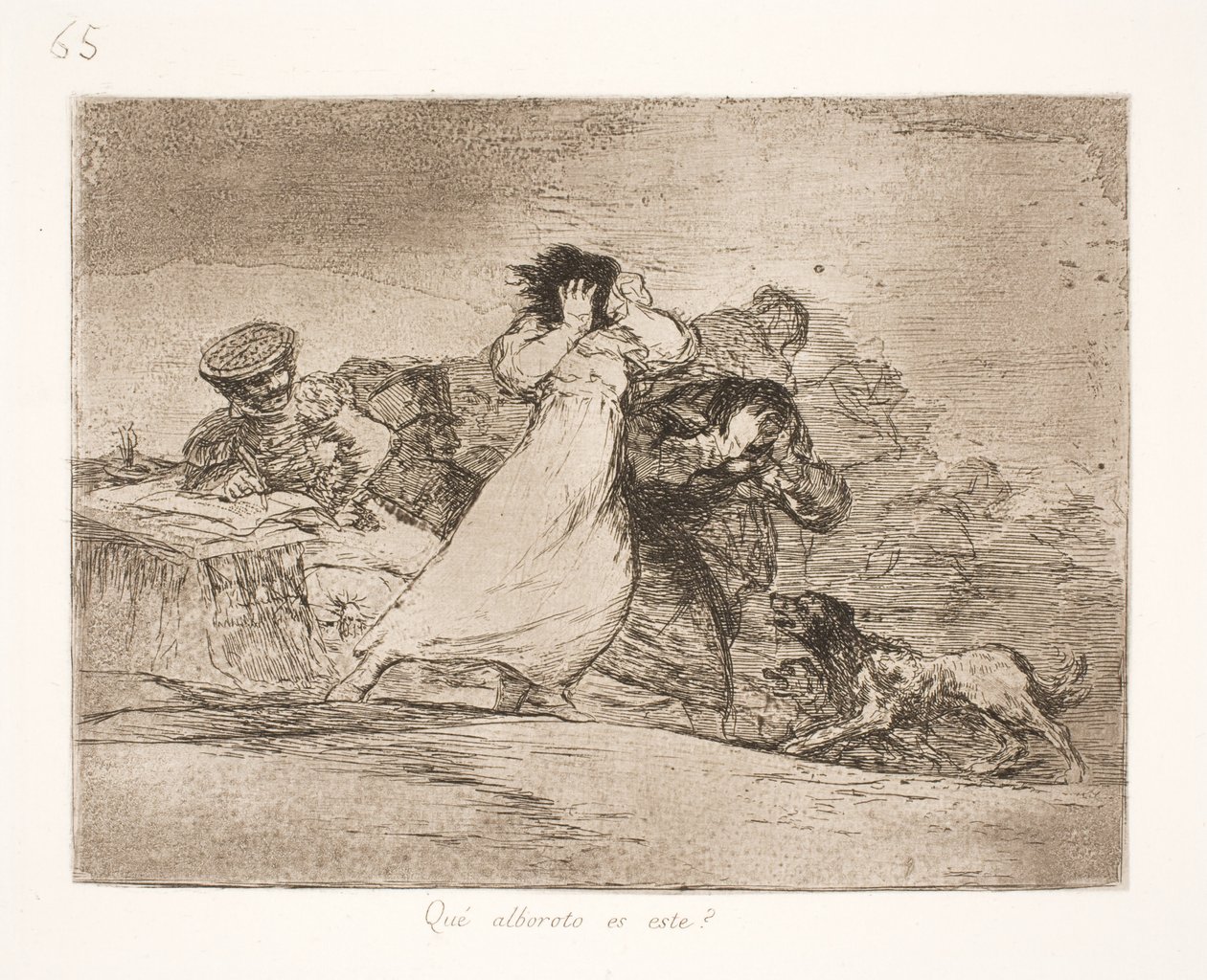 Was bedeutet diese Verwirrung? (65) von Francisco de Goya