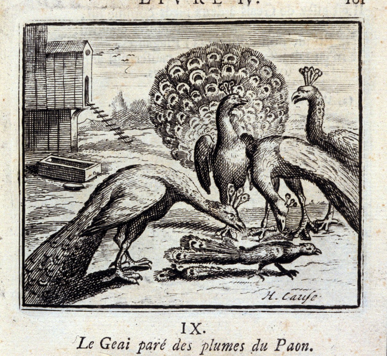 Der Eichelhäher schmückt sich mit Pfauenfedern. Fabeln von Jean de La Fontaine. Illustration von François Chauveau. Ausgabe von 1728. von Francois Chauveau