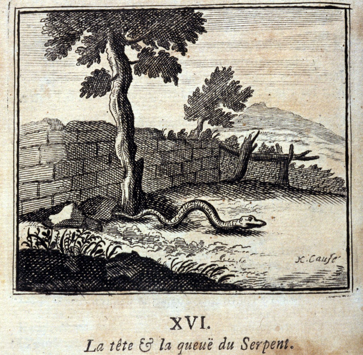 Der Kopf und der Schwanz der Schlange. Fabeln von Jean de La Fontaine (1621-95). Illustration von François Chauveau (1613-1676). Ausgabe von 1728 von Francois Chauveau