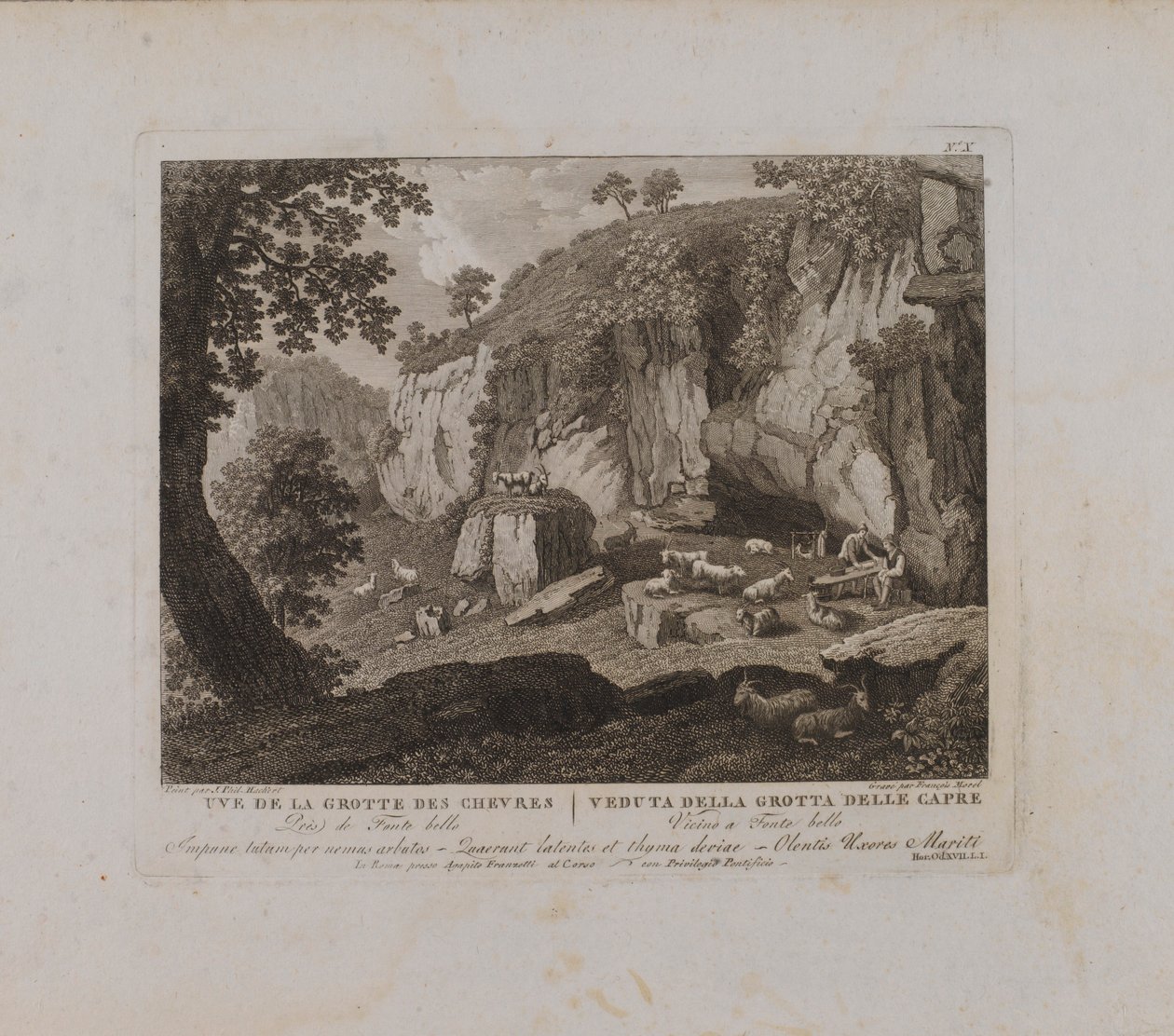 Uve (sic) der Grotte des Chevres (Nr. X) von François Morel