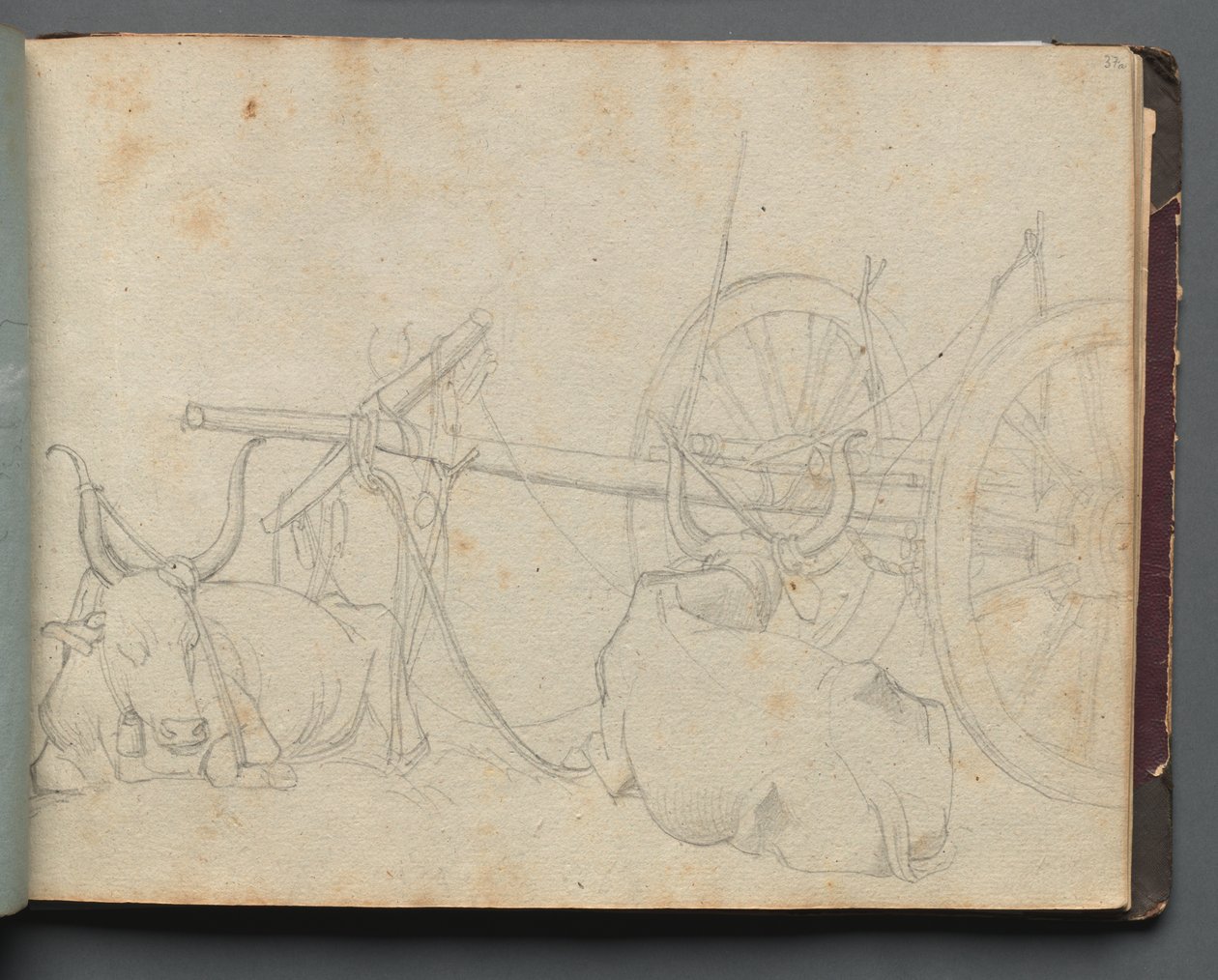 Album mit Ansichten von Rom und Umgebung, Landschaftsstudien, Seite 37a: Ochsen und Wagen von Franz Johann Heinrich Nadorp