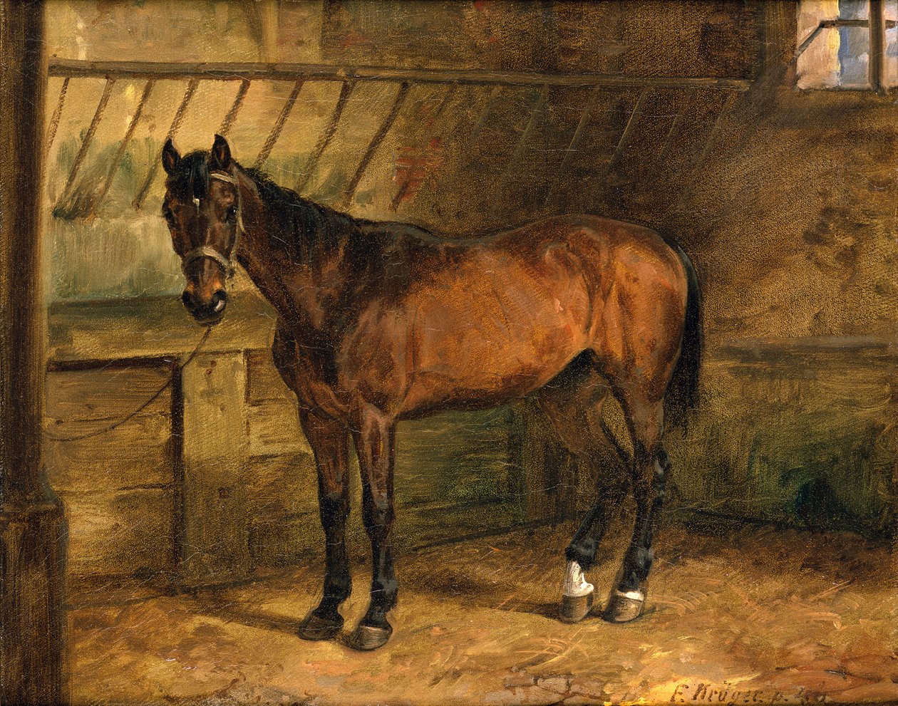 Pferd im Stall von Franz Krüger