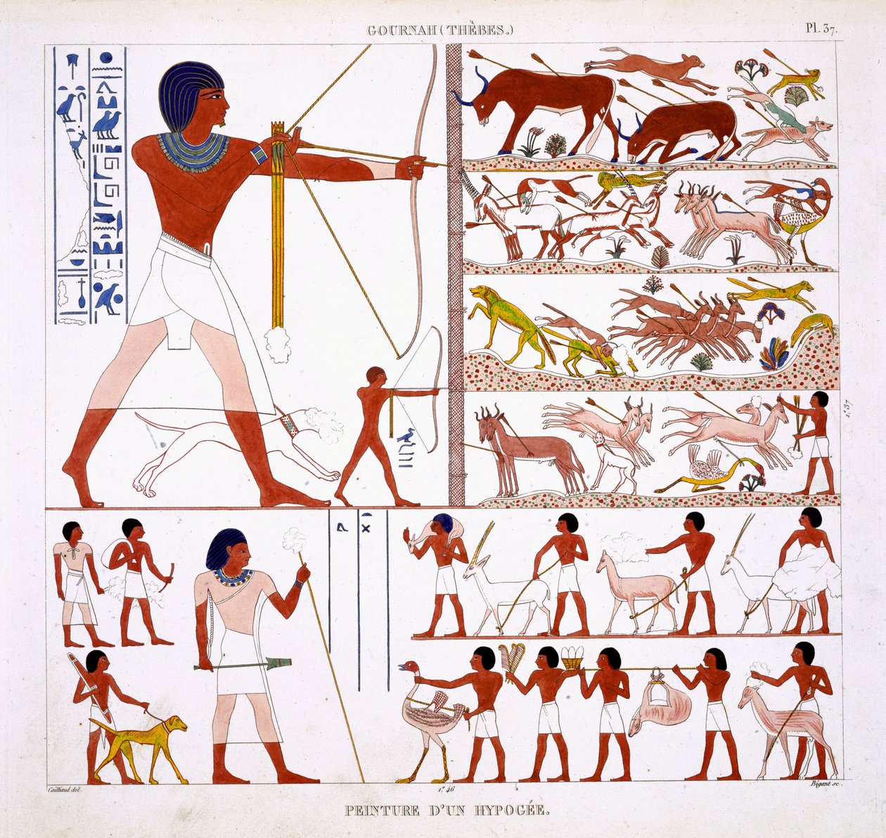 Jagdszenen, aus einem seltenen Bericht über Fresken aus Theben, aufgezeichnet 1819-1822 bei seinem zweiten Besuch in Ägypten von Frederic Cailliaud (1787-1869) von Frederic Cailliaud
