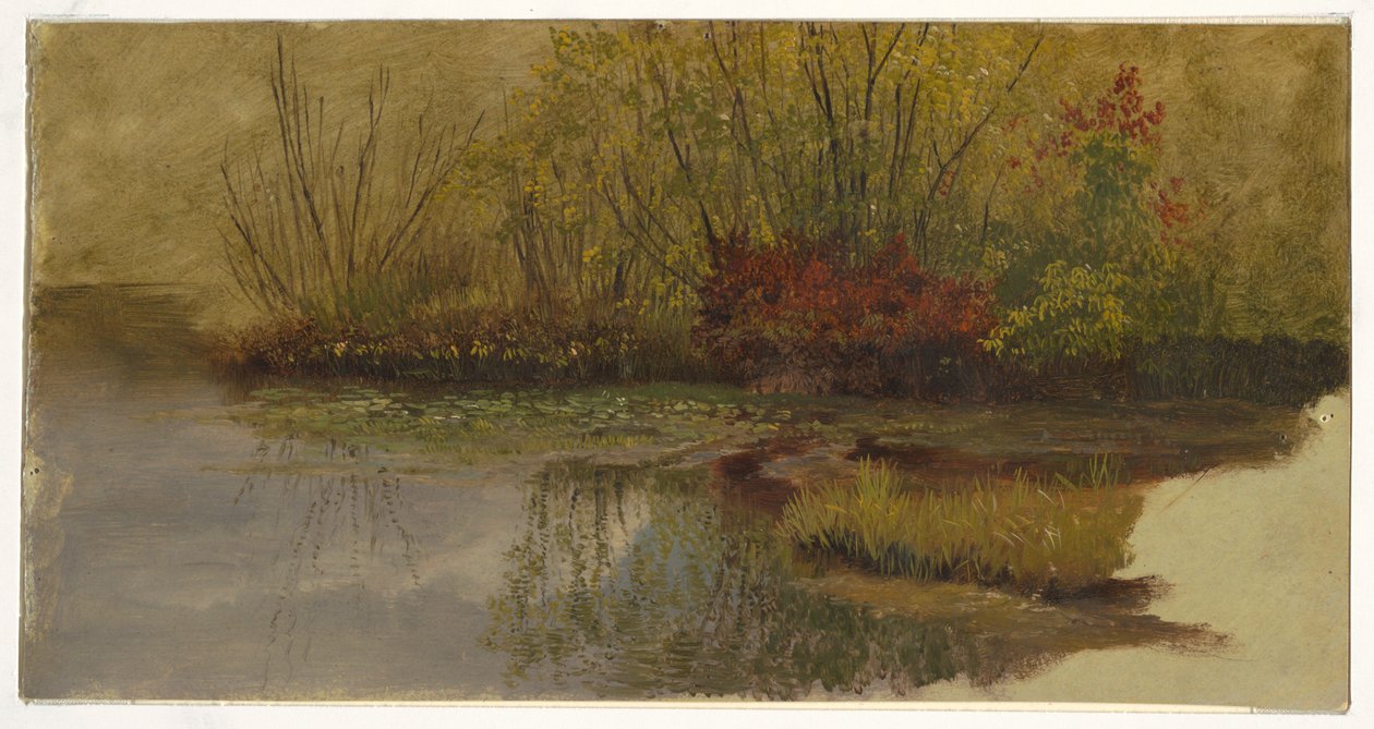 Eine Ecke eines Teiches von Frederic Edwin Church