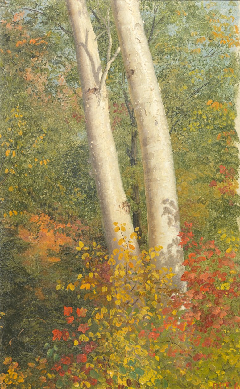 Birken im Herbst von Frederic Edwin Church: Kunstdruck