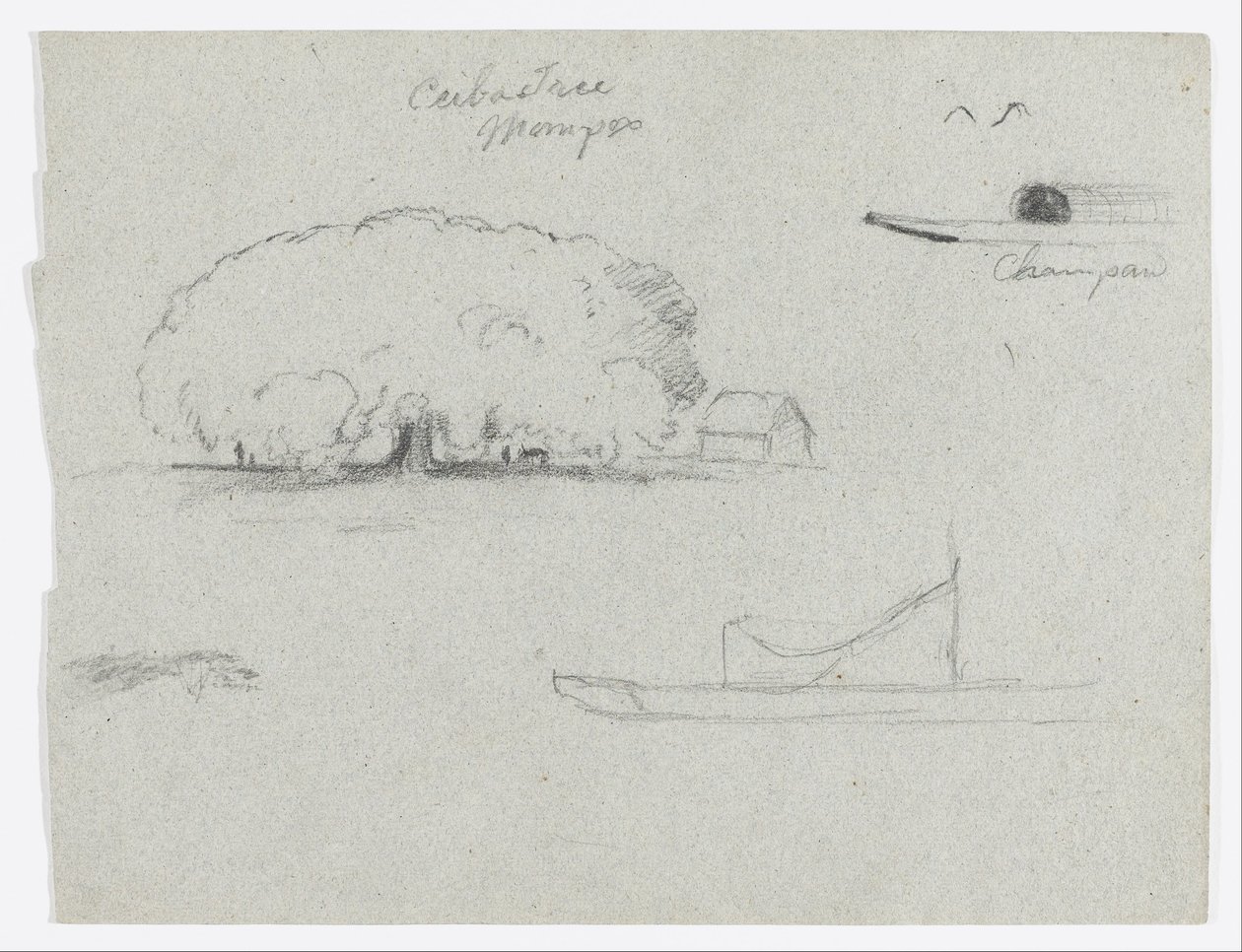 Ceiba-Baum in Mompos, Champan-Kanu, Bäume und ein Teil eines Bootes, Rio Magdalena, Kolumbien von Frederic Edwin Church