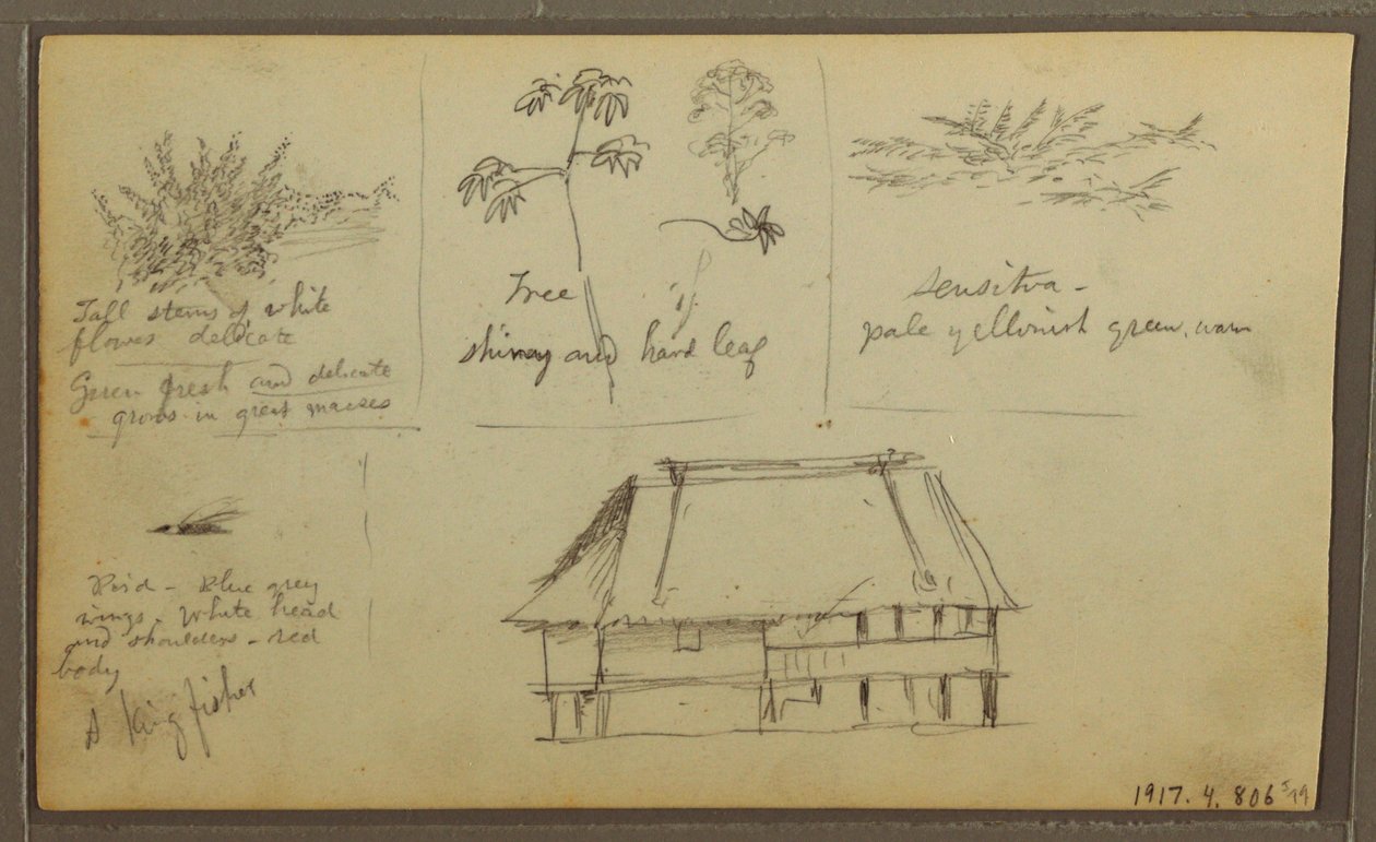 Zeichnung, Eine Festung; Verso: Botanische Skizzen, Haus, 1857 von Frederic Edwin Church