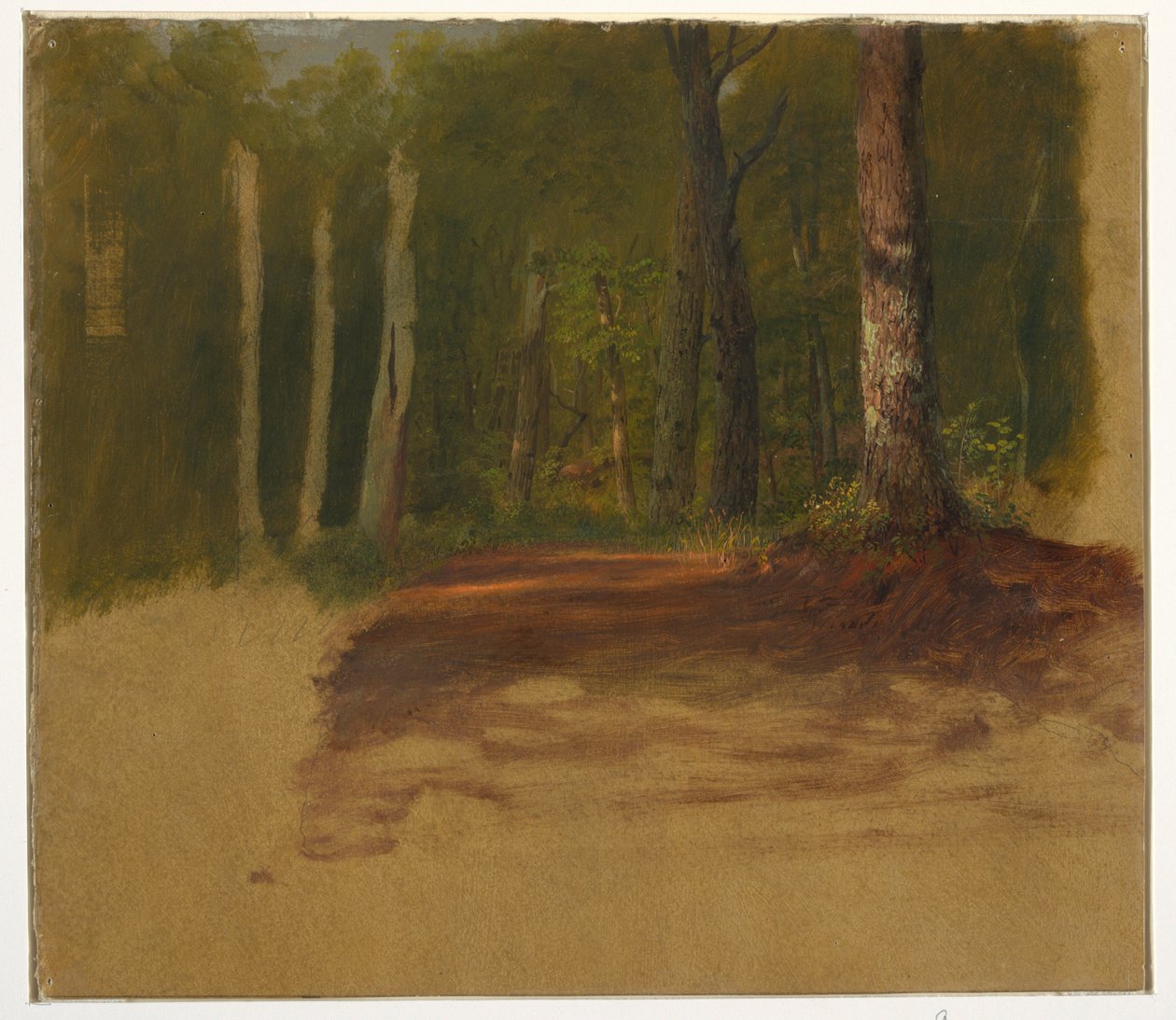 Zeichnung, Ein Weg in den Wald, 1850–60 von Frederic Edwin Church