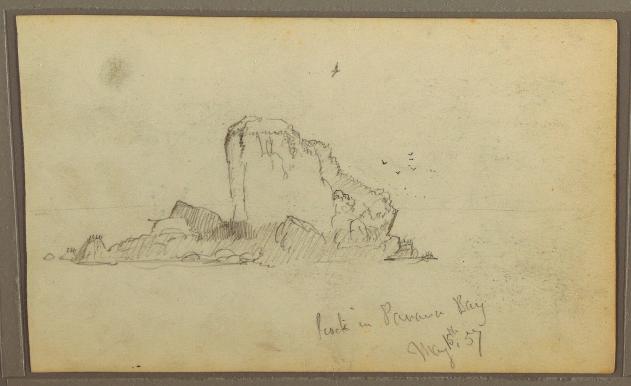 Vögel, "Felsen in der Panama-Bucht"; Rückseite: "Schwere Reben", 15. Mai 1857 von Frederic Edwin Church