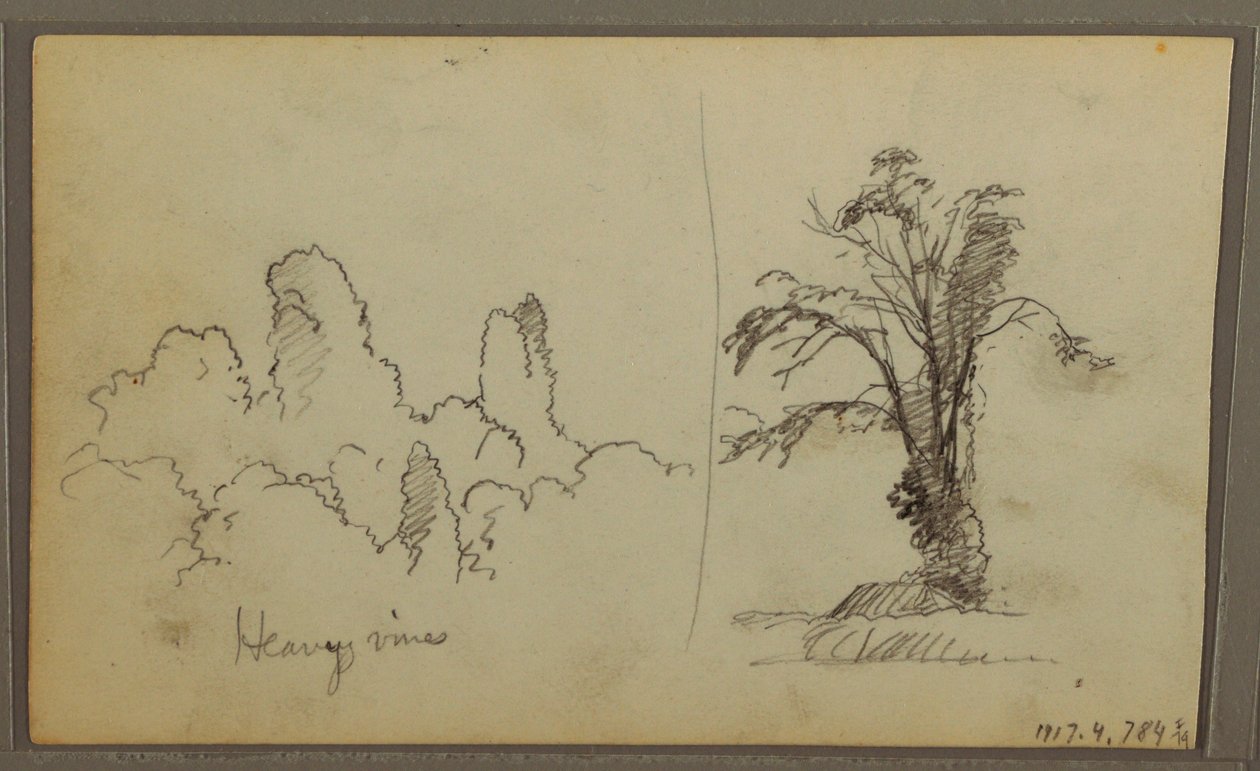 Vögel, "Felsen in der Panama-Bucht"; Rückseite: "Schwere Reben", 15. Mai 1857 von Frederic Edwin Church