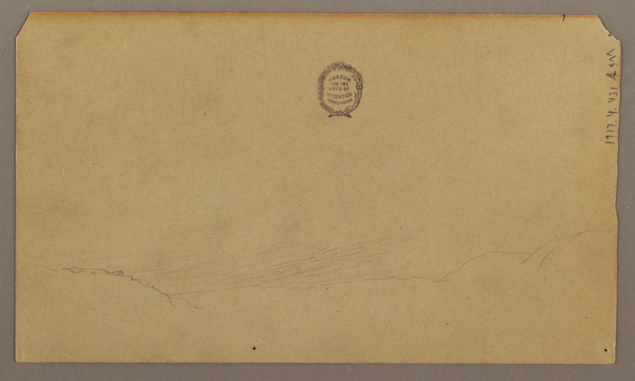 Botanische Skizzen, August 1865 von Frederic Edwin Church