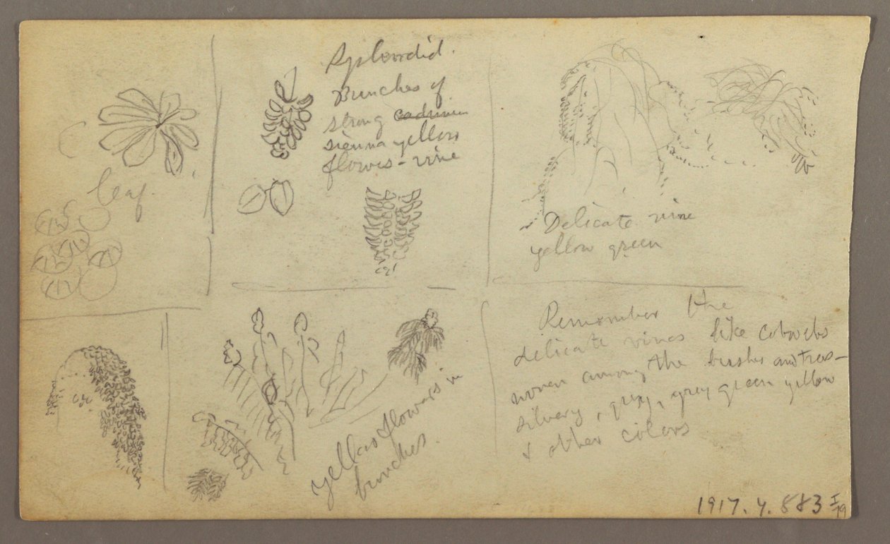 Botanische Skizzen, Ecuador oder Kolumbien; Rückseite: Botanische Skizzen, 1857 von Frederic Edwin Church
