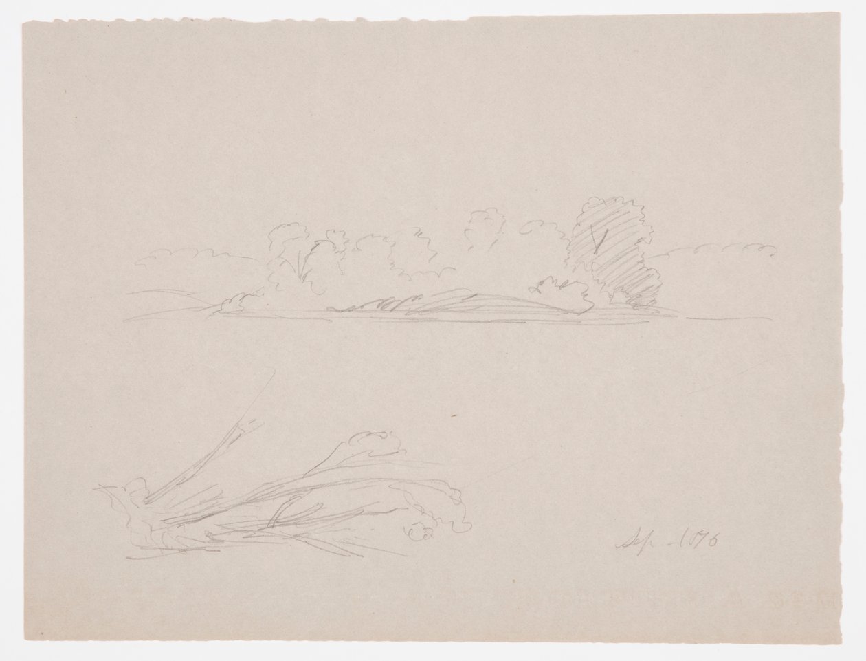 Zeichnung, Botanische Skizzen: Landschaft, Bäume an einem Ufer, September 1876 von Frederic Edwin Church