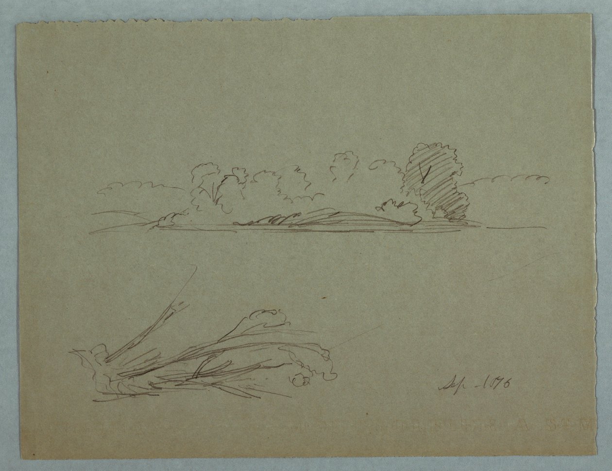 Zeichnung, Botanische Skizzen: Landschaft, Bäume an einem Ufer, September 1876 von Frederic Edwin Church