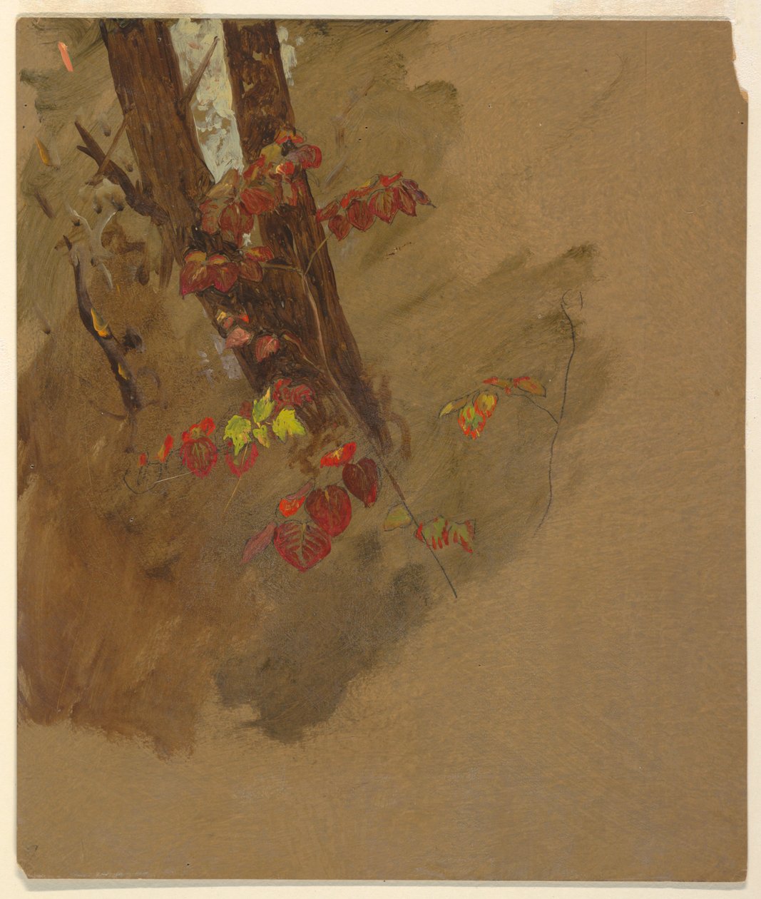 Zeichnung, Botanische Studien, 1860–70 von Frederic Edwin Church