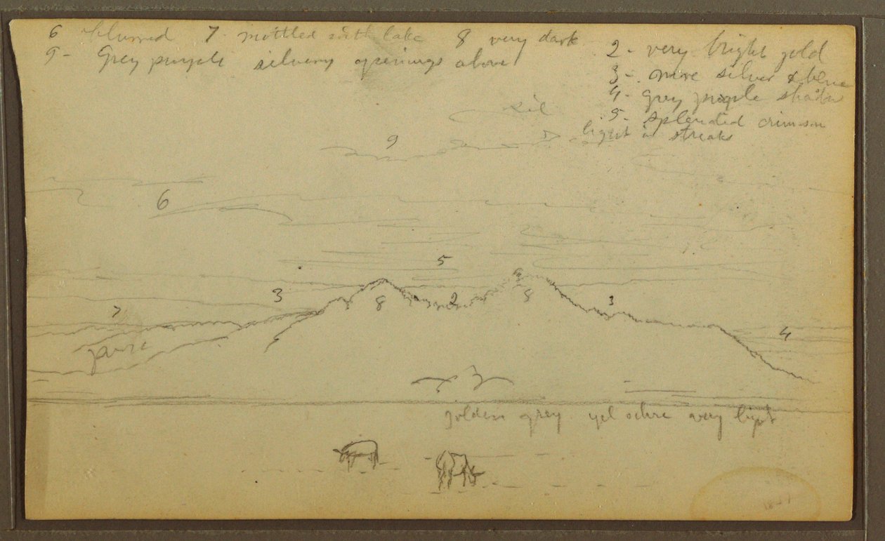 Zeichnung, Kühe in Landschaft; Rückseite: Bambus, 1857 von Frederic Edwin Church
