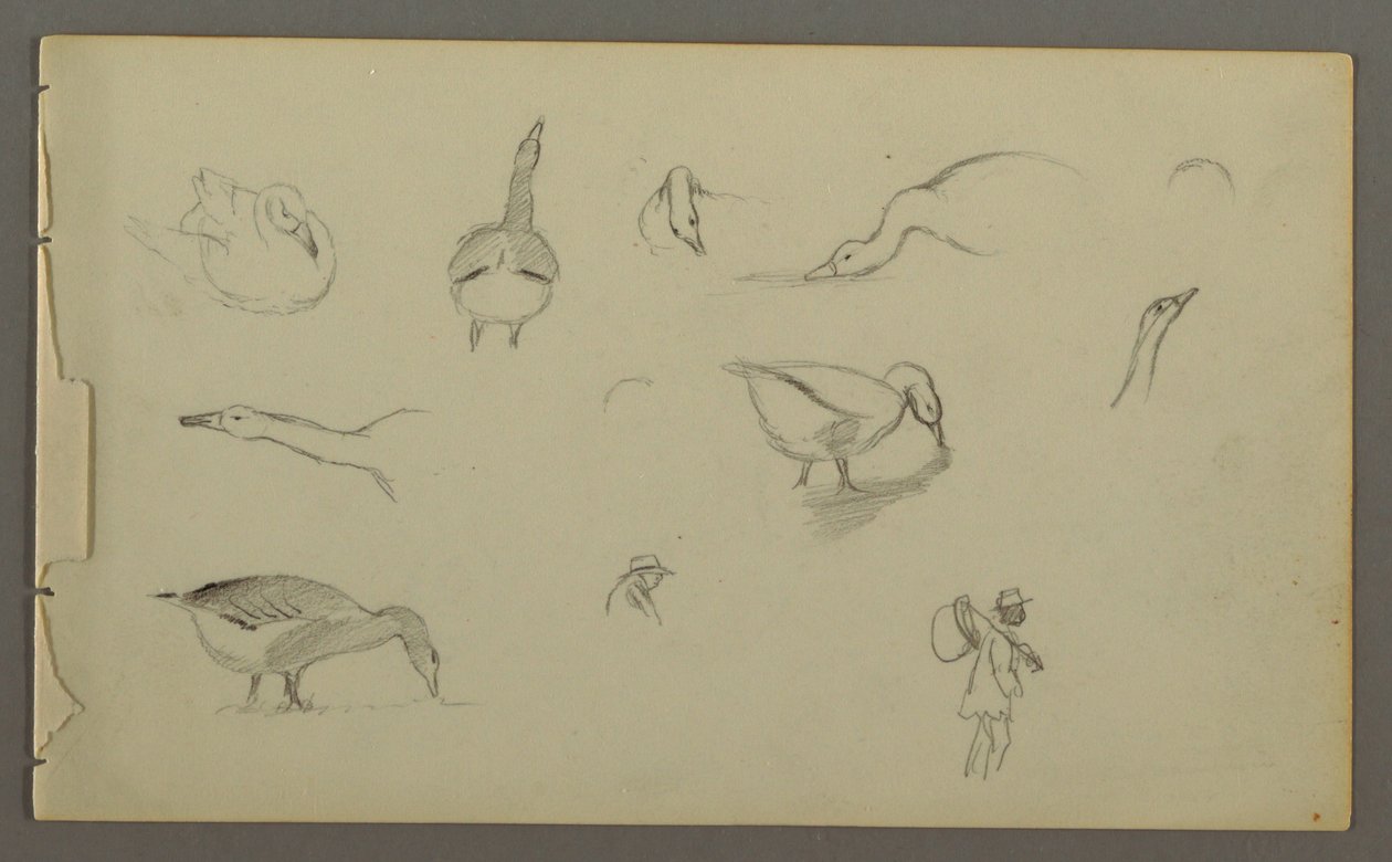 Acht Studien von Enten, zwei Figurenstudien, möglicherweise 1857–58 von Frederic Edwin Church