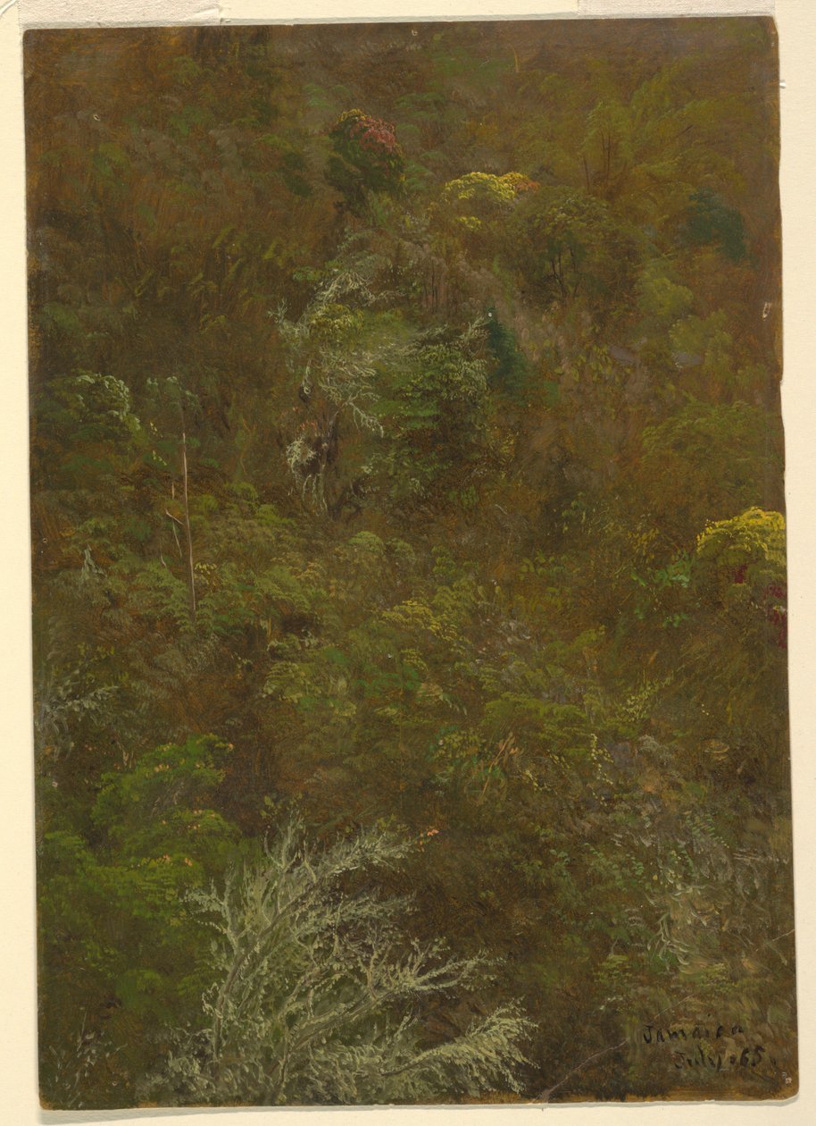 Hügel mit Büschen und Bäumen bedeckt, Juli 1865 von Frederic Edwin Church