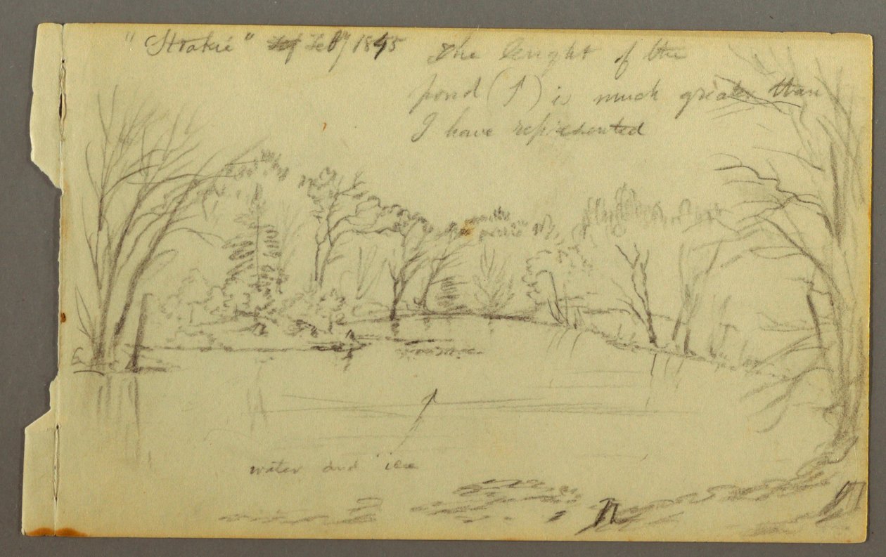 Zeichnung, Htakie (?) Teich von Bäumen gesäumt, 1845 von Frederic Edwin Church