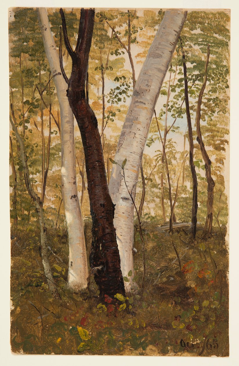 Zeichnung, In den Wäldern, Hudson, New York, Oktober 1865 von Frederic Edwin Church
