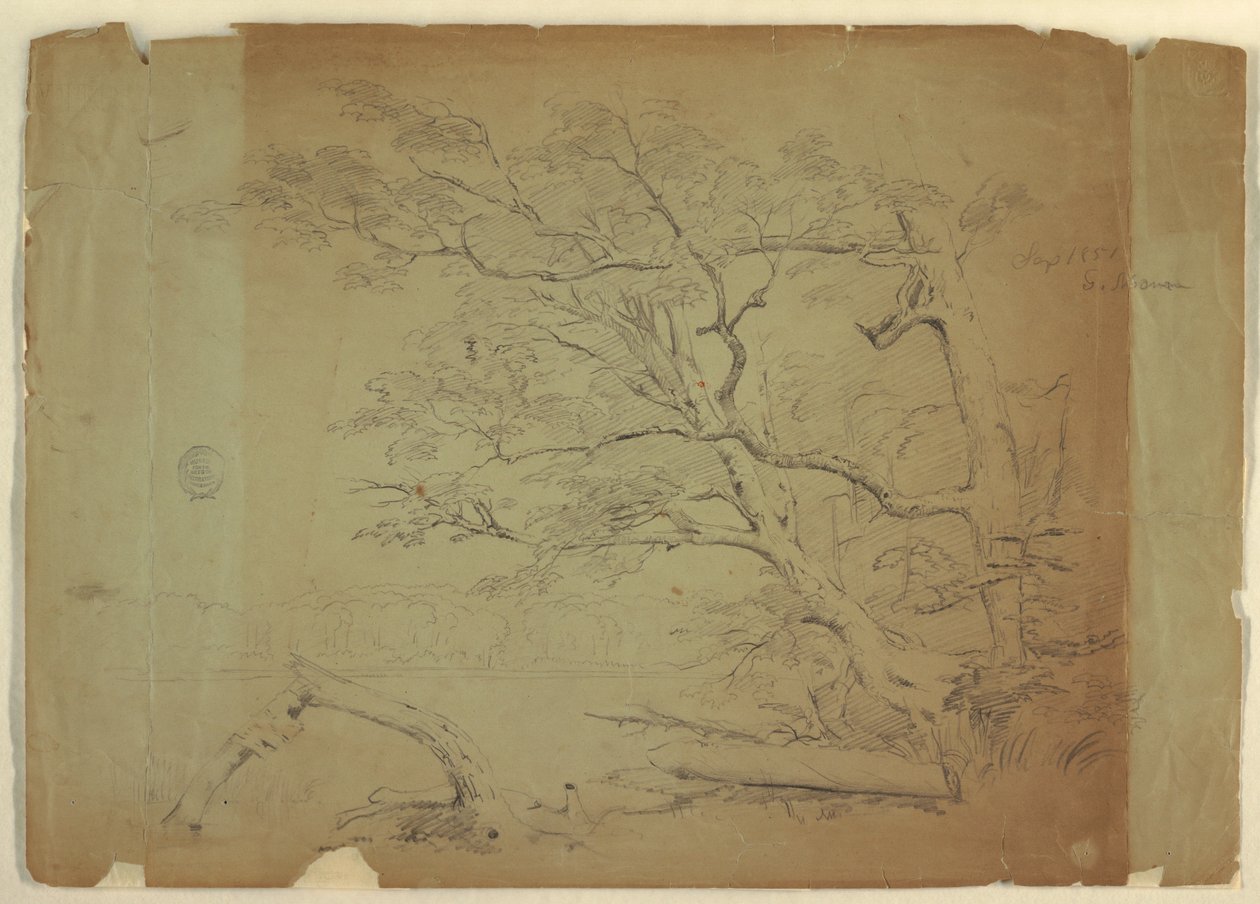 Landschaft mit Bäumen und einem Bach [?], Grand Manan Island, Kanada, September 1851 von Frederic Edwin Church