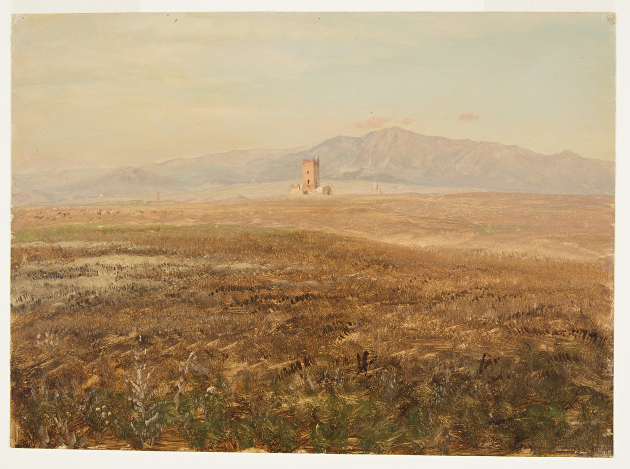 Mexikanische Landschaft von Frederic Edwin Church