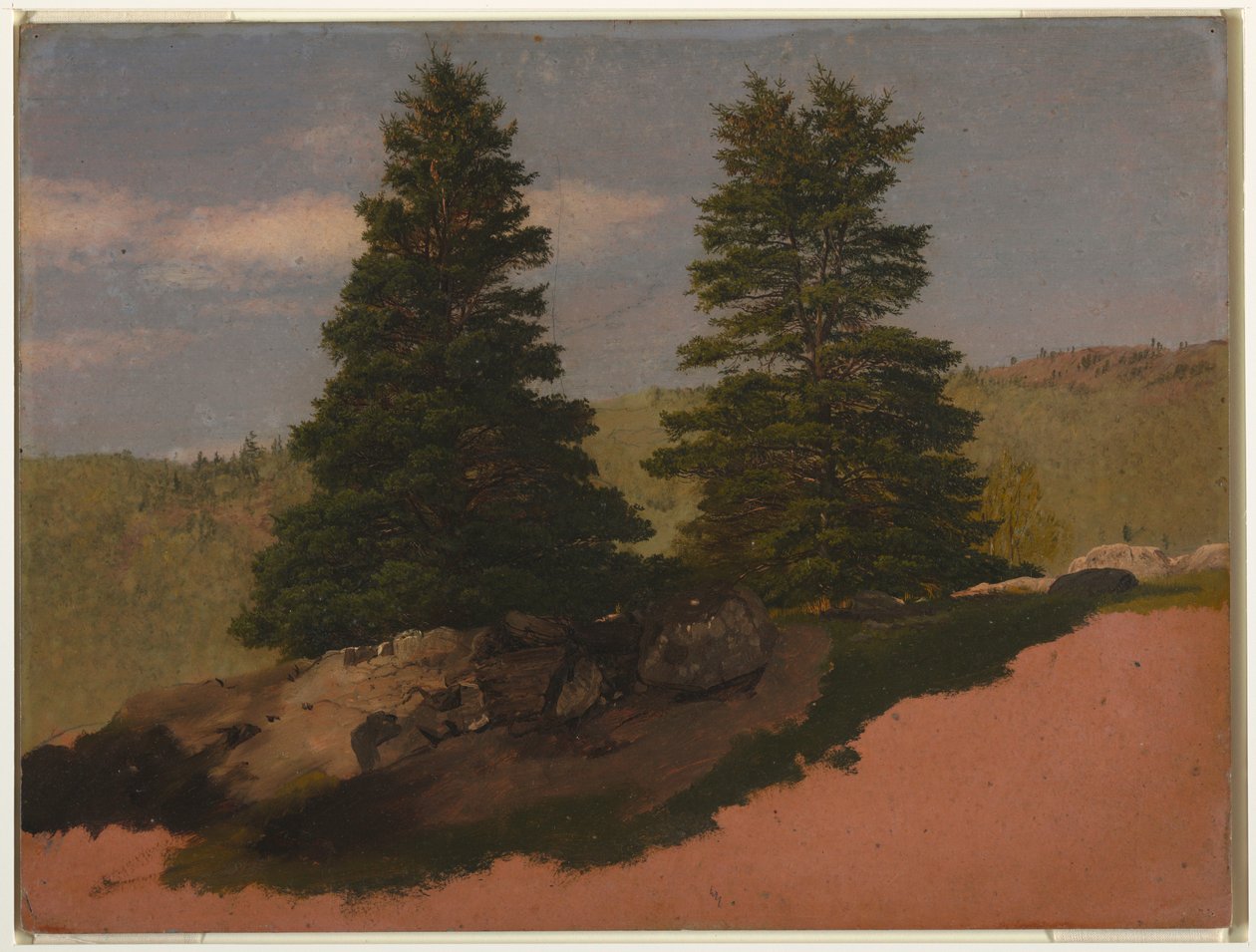 Zeichnung, Neuengland-Landschaft (Zwei Kiefern), 1850 von Frederic Edwin Church